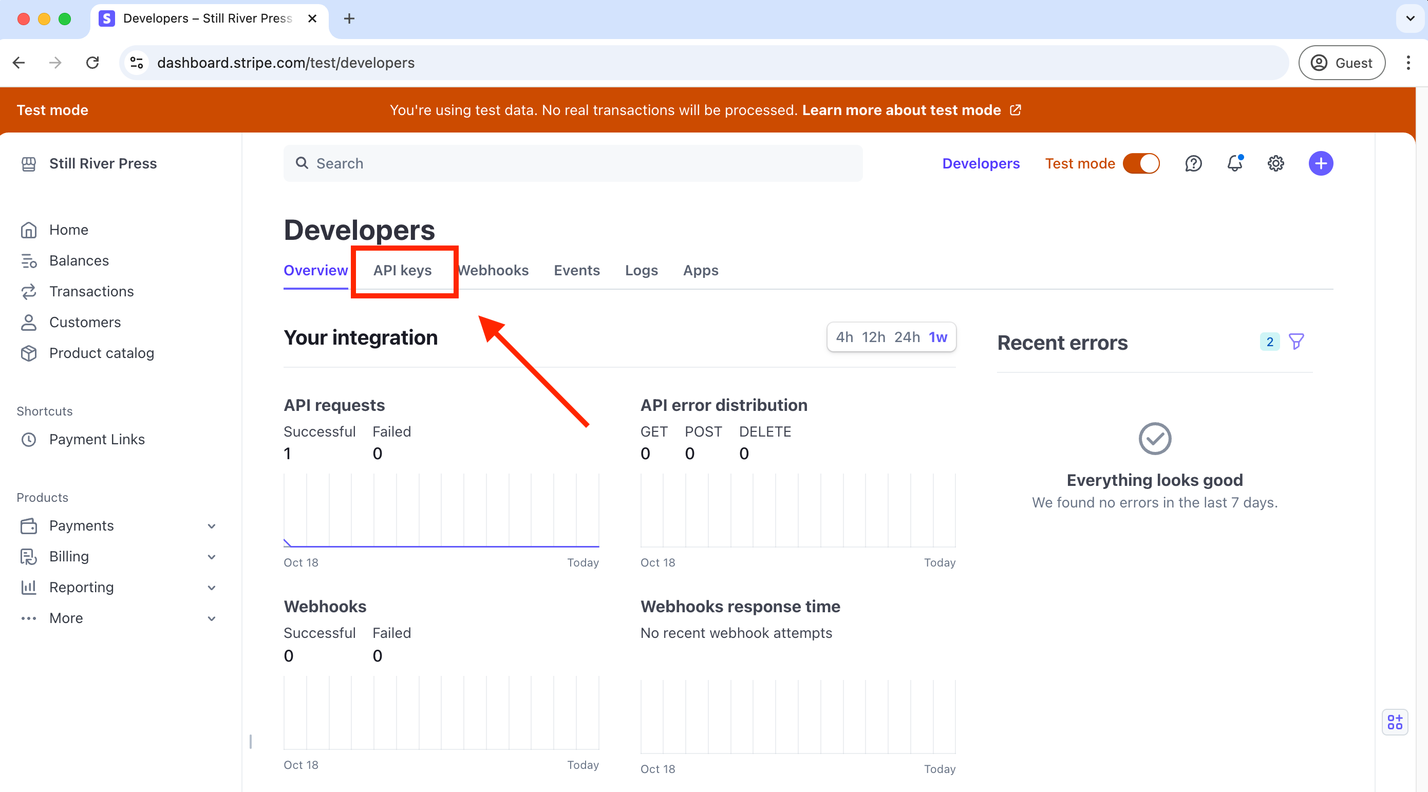 Stripe Developers Page